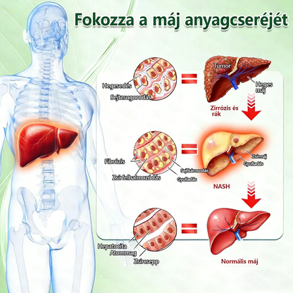 A🇭🇺Európai egészségügyi előírásoknak megfelelő · 👩‍⚕️Orvosi szakértők által ajánlott termék| 🎁 𝑷𝒖𝒓𝐞𝐿𝒖𝒙𝐨® Glumasetide 8 az 1-ben Karcsú és Egészséges Nano Mikrotűs Tapasz🔥🔥🔥