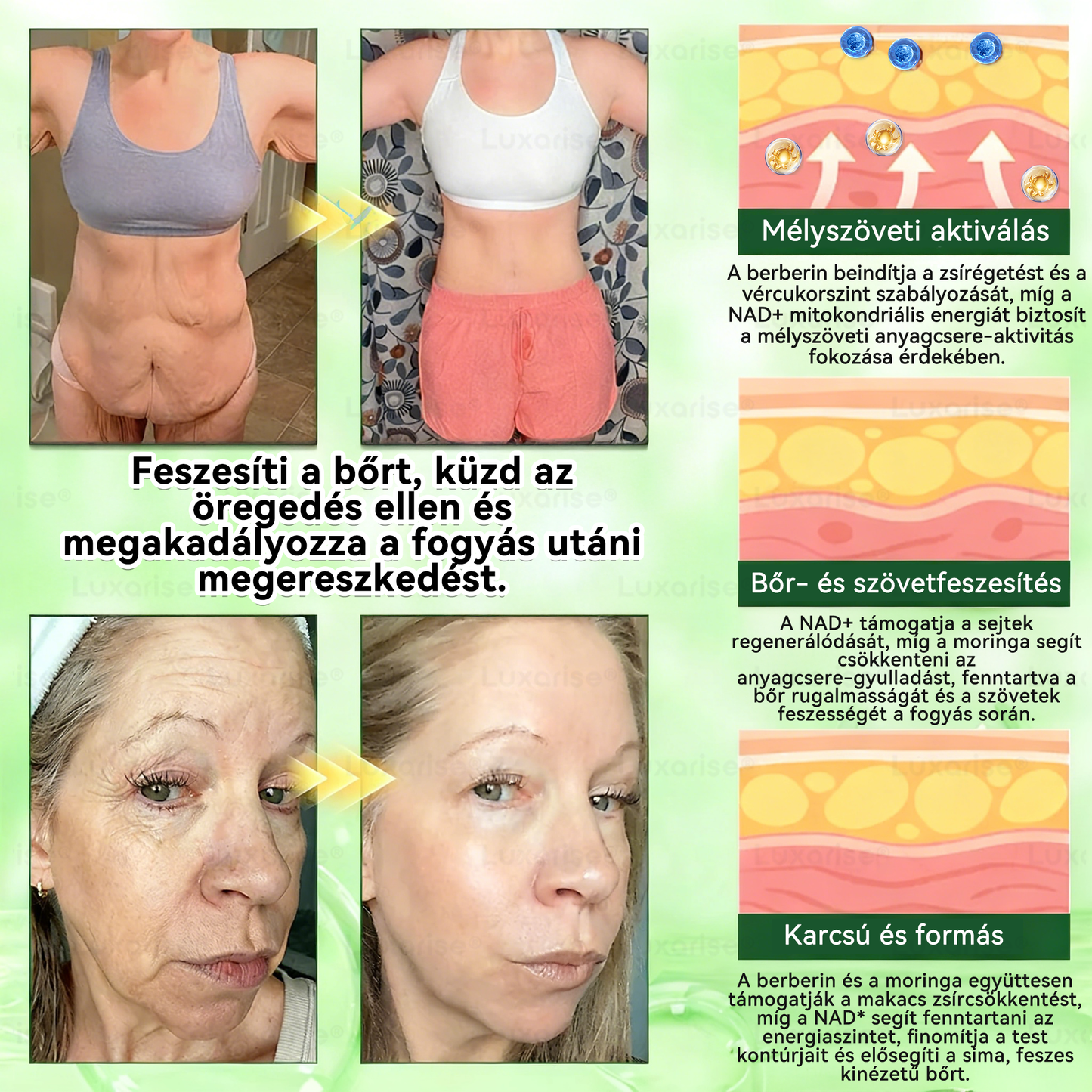 𝑯𝒊𝒗𝒂𝒕𝒂𝒍𝒐𝒔 𝒃𝒐𝒍𝒕 | 𝑳𝒖𝒙𝒂𝒓𝒊𝒔𝒆® 𝑴𝑶𝑹𝑰𝑵𝑮𝑨 × 𝑩𝑬𝑹𝑩𝑬𝑹𝑰𝑵 10-𝑰𝑵-1 𝑯𝒂𝒍𝒂𝒅ó 𝑵𝒂𝒏𝒐 𝑴𝒊𝒌𝒓𝒐𝒕ű 𝑻𝒂𝒑𝒂𝒔𝒛🌿 (𝑵𝒂𝒑𝒊 𝒆𝒈𝒚𝒔𝒛𝒆𝒓, 7 𝒏𝒂𝒑𝒐𝒏 𝒃𝒆𝒍ü𝒍 𝒍á𝒕𝒉𝒂𝒕ó 𝒋𝒆𝒍𝒆𝒏𝒕ő𝒔 𝒗á𝒍𝒕𝒐𝒛á𝒔𝒐𝒌)💰🌿🌿🌿